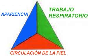 Triángulo de Evaluación Pediátrica
